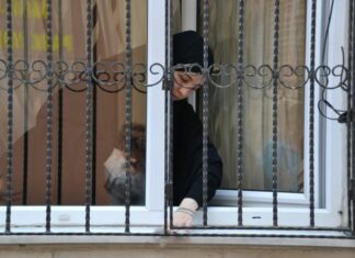 Palaeologus’ untiring industry