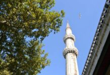 To use against Dyrrachium