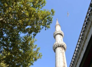 To use against Dyrrachium