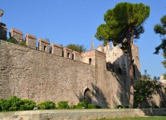 The official panegyrists