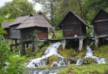 The Ottoman Royal Family