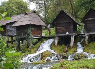 Princess Senieh Sultana and the Liberal Legacy of Mahmoud Pasha