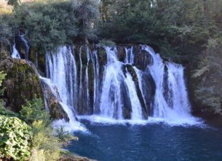 Clarifying the Meaning of the Patriarch’s Statement