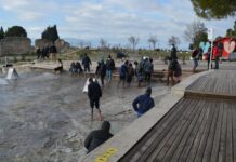 Introduction to Health Education Services