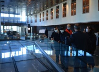 Uncertainty About the French King